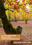 Un vieux marronnier pour 2026 en douceur